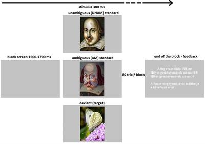 Does Creativity Influence Visual Perception? - An Event-Related Potential Study With Younger and Older Adults